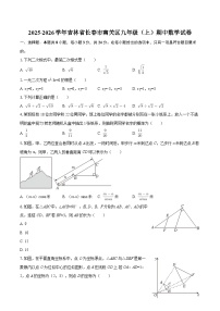 2025-2026学年吉林省长春市南关区九年级（上）期中数学试卷-自定义类型