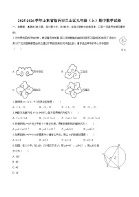 2025-2026学年山东省临沂市兰山区九年级（上）期中数学试卷-自定义类型