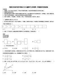 内蒙古赤峰市翁牛特旗2026届数学七年级第一学期期末检测试题含解析