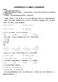 山东省滨州市名校2026届数学七上期末调研试题含解析