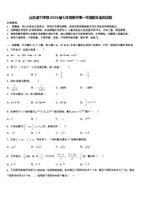 山东省宁津县2026届七年级数学第一学期期末监测试题含解析