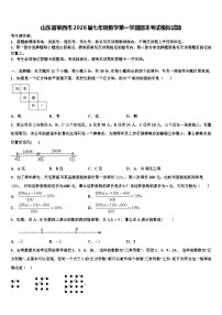 山东省莱西市2026届七年级数学第一学期期末考试模拟试题含解析