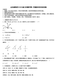 山东省聊城市2026届七年级数学第一学期期末综合测试试题含解析