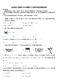 山东省汶上县联考2026届数学七上期末达标检测模拟试题含解析