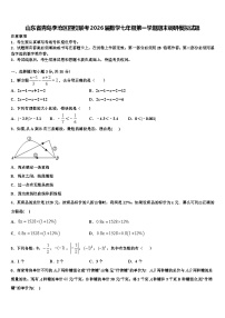 山东省青岛李沧区四校联考2026届数学七年级第一学期期末调研模拟试题含解析