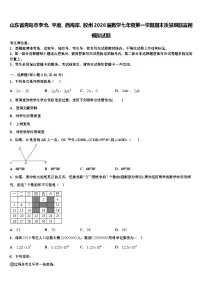 山东省青岛市李沧、平度、西海岸、胶州2026届数学七年级第一学期期末质量跟踪监视模拟试题含解析
