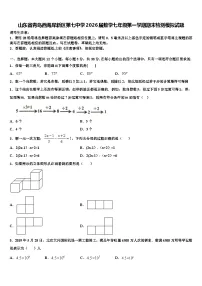 山东省青岛西海岸新区第七中学2026届数学七年级第一学期期末检测模拟试题含解析