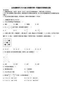 山东省滕州市2026届七年级数学第一学期期末经典模拟试题含解析