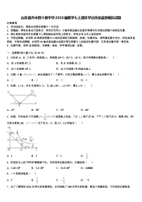 山东省沂水四十里中学2026届数学七上期末学业质量监测模拟试题含解析