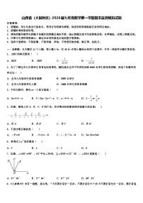 山西省(大同地区)2026届七年级数学第一学期期末监测模拟试题含解析