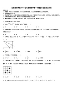 山西省定襄县2026届七年级数学第一学期期末综合测试试题含解析