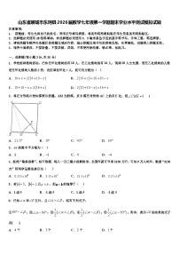 山东省聊城市东阿县2026届数学七年级第一学期期末学业水平测试模拟试题含解析