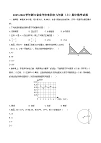2025-2026学年浙江省金华市东阳市九年级(上)期中数学试卷-自定义类型