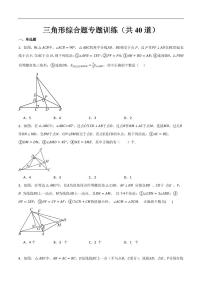 三角形综合题专题训练（共40道）练习含答案--八年级数学上册月考专题训练+备考提分专项训练