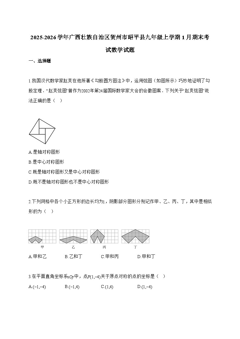 2025_2026学年广西壮族自治区贺州市昭平县九年级上学期1月期末考试数学试卷【附解析】第1页