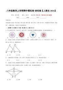 2025-2026学年八年级数学上学期期中模拟卷（培优&拔尖卷）（人教版2024）（含答案）