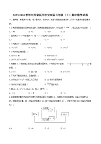 2025-2026学年江苏省扬州市宝应县七年级（上）期中数学试卷（含答案+解析）