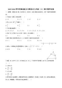 2025-2026学年河南省新乡市辉县市九年级(上)期中数学试卷-自定义类型