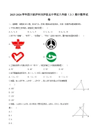 2025-2026学年四川省泸州市泸县五中学区八年级(上)期中数学试卷-自定义类型