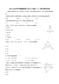 2025-2026学年福建省厦门五中八年级（上）期中数学试卷-自定义类型