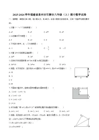 2025-2026学年福建省泉州市石狮市八年级（上）期中数学试卷-自定义类型