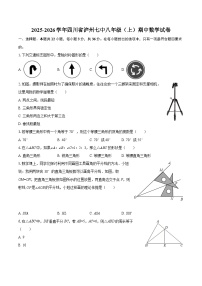 2025-2026学年四川省泸州七中八年级（上）期中数学试卷-自定义类型