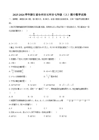 2025-2026学年浙江省台州市玉环市七年级（上）期中数学试卷-自定义类型