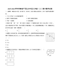2025-2026学年河南省平顶山市叶县九年级(上)期中数学试卷-自定义类型