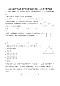 2025-2026学年山东省枣庄市薛城区九年级(上)期中数学试卷-自定义类型