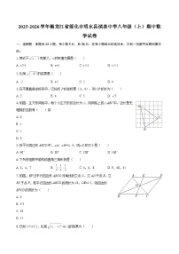 2025-2026学年黑龙江省绥化市明水县滨泉中学八年级（上）期中数学试卷-自定义类型