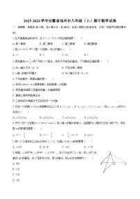 2025-2026学年安徽省池州市八年级（上）期中数学试卷-自定义类型