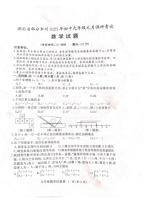 湖北省部分市州2024-2025学年九年级上学期1月期末数学试题