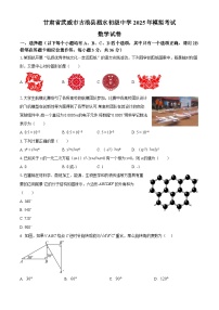 甘肃省武威市古浪县泗水初级中学2025年模拟考试数学试卷无答案