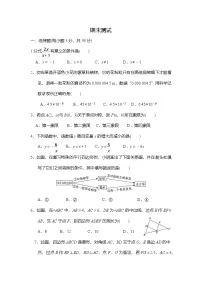 华东师大版（2024）数学八年级下册 期末测试 （试卷含答案）