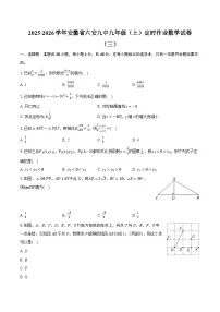 2025-2026学年安徽省六安九中九年级（上）定时作业数学试卷（三）（含答案+解析）