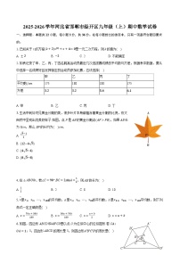 2025-2026学年河北省邯郸市经开区九年级（上）期中数学试卷（含答案+解析）