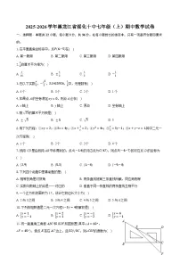 2025-2026学年黑龙江省绥化十中七年级（上）期中数学试卷（含答案+解析）