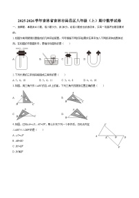 2025-2026学年吉林省吉林市昌邑区八年级(上)期中数学试卷-自定义类型