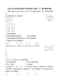 2025-2026学年贵州省毕节市金沙县九年级（上）期中数学试卷-自定义类型
