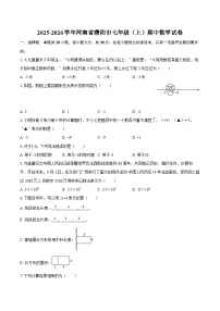 2025-2026学年河南省濮阳市七年级（上）期中数学试卷-自定义类型