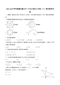 2024-2025学年新疆乌鲁木齐一中北门校区八年级(上)期末数学试卷-自定义类型