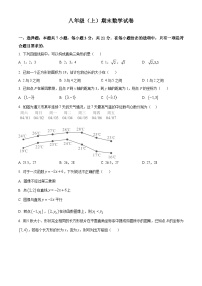 北师大版2024初中数学八上期末试卷（原卷版）