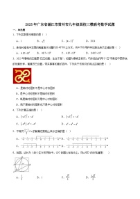 广东省湛江市雷州市四校2025届九年级下学期中考三模数学试卷（含解析）
