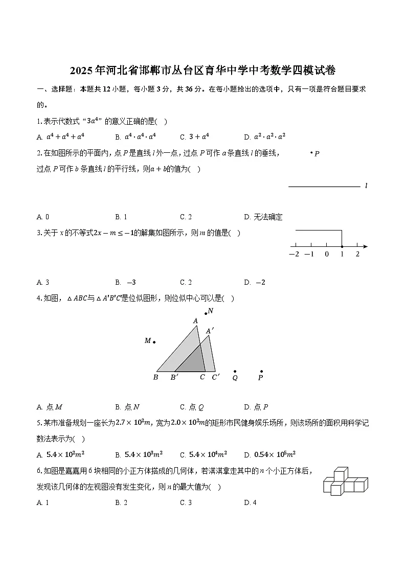 邯郸市育华中学2025届九年级下学期中考四模数学试卷(含解析)第1页