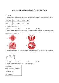 深圳市高级中学2025届九年级下学期中考三模数学试卷（含解析）