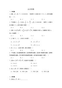数学八年级上册(2024)1 认识实数综合训练题