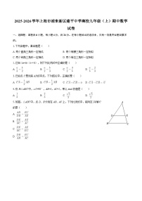 2025-2026学年上海市浦东新区建平中学南校九年级（上）期中数学试卷-自定义类型