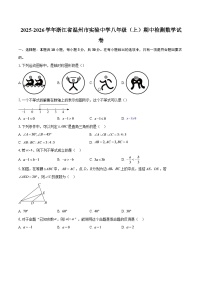 2025-2026学年浙江省温州市实验中学八年级（上）期中检测数学试卷-自定义类型