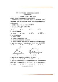 山东省青岛市市南区2024—2025学年上学期八年级数学期末试题