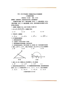 山东省青岛市市南区2024—2025学年上学期八年级数学期末试题